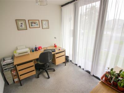 Picture 12